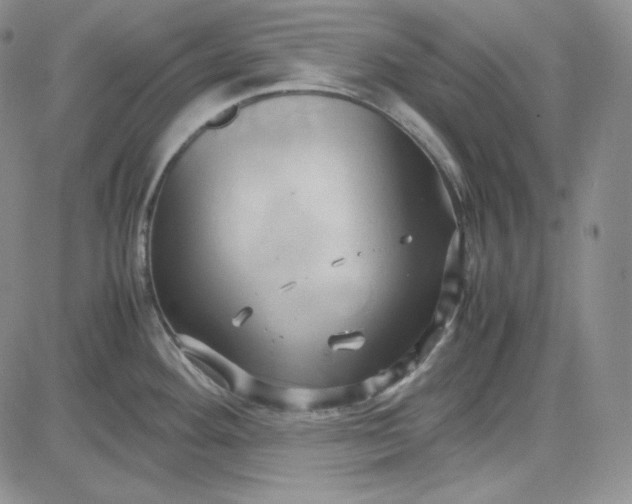 X0000083621292200702260944