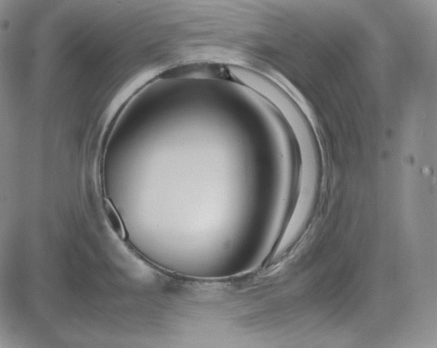 X0000083621293200702260944