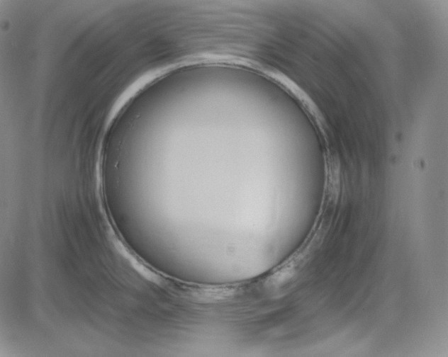 X0000083621294200702260944