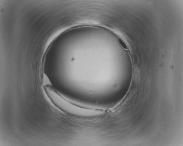 X0000083621295200702260944