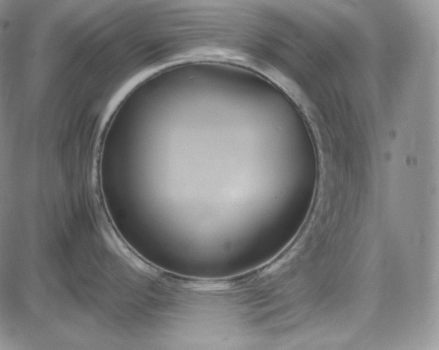 X0000083621296200702260944