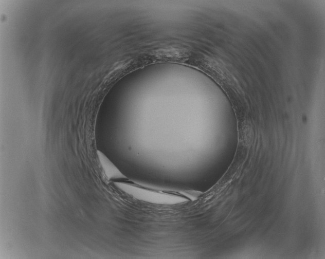 X0000083621297200702260943