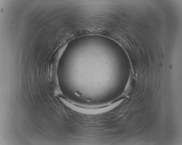 X0000083621298200702260943