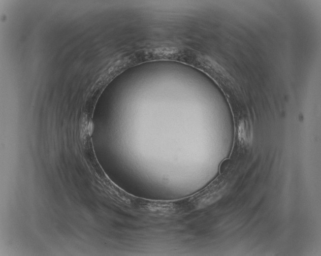 X0000083621299200702260943