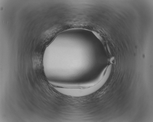 X0000083621300200702260943