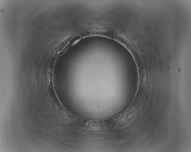 X0000083621301200702260943