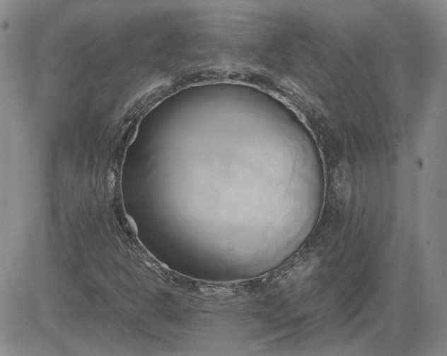 X0000083621302200702260943