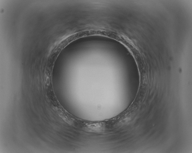 X0000083621303200702260943