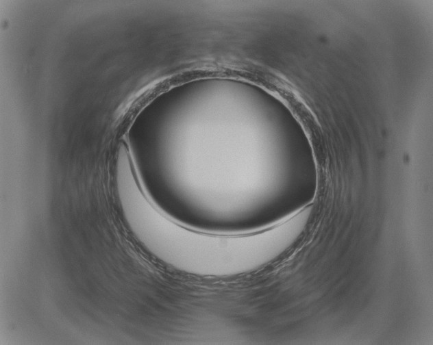 X0000083621304200702260943