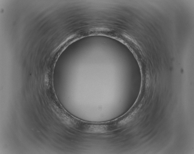 X0000083621305200702260943