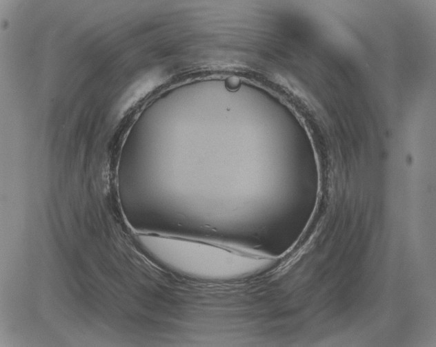 X0000083621306200702260943