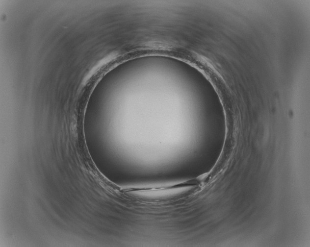 X0000083621307200702260943