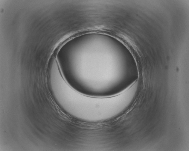 X0000083621308200702260943