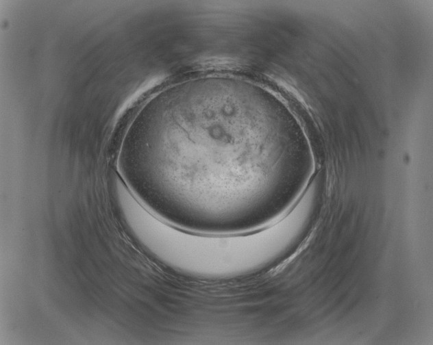 X0000083621309200702260943