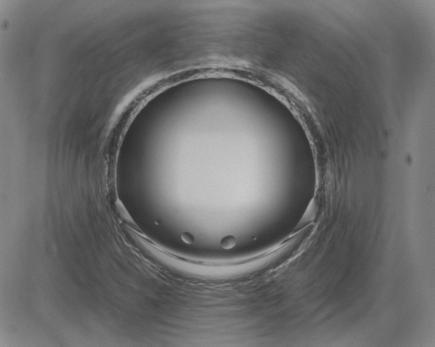 X0000083621310200702260943