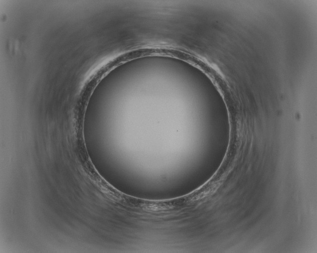 X0000083621311200702260943