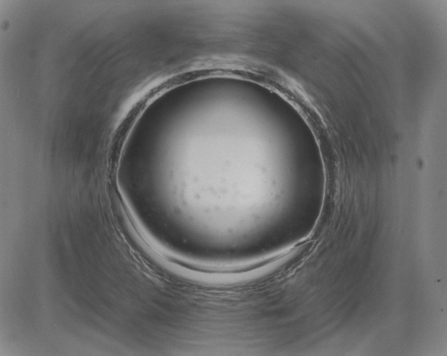 X0000083621312200702260943