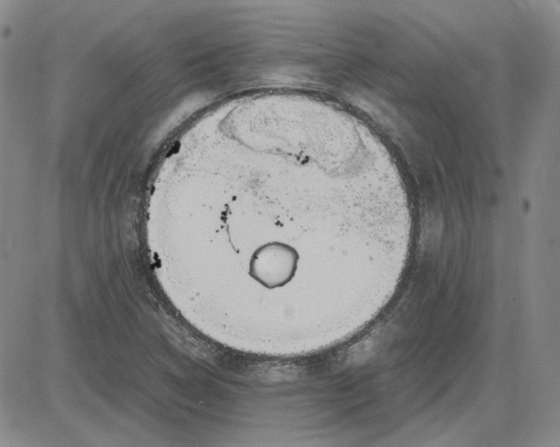 X0000083621314200702260943