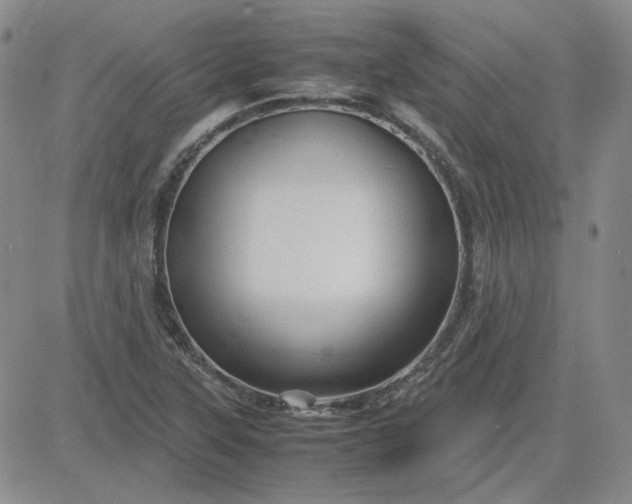 X0000083621315200702260943