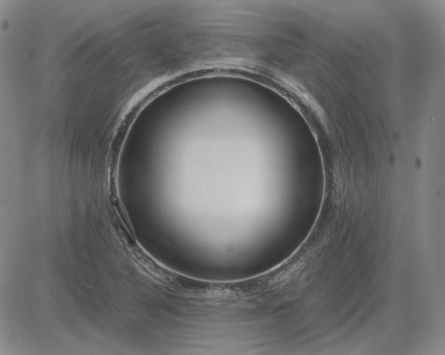 X0000083621316200702260943