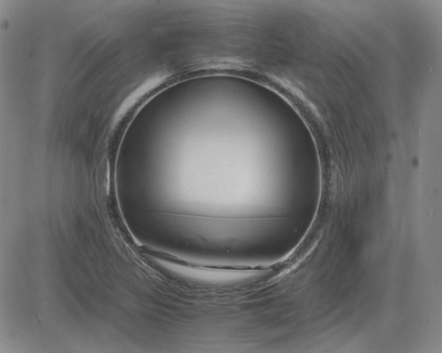 X0000083621317200702260943