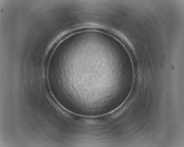 X0000083621318200702260943