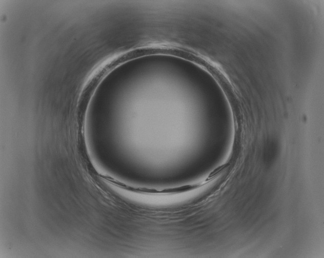 X0000083621319200702260943