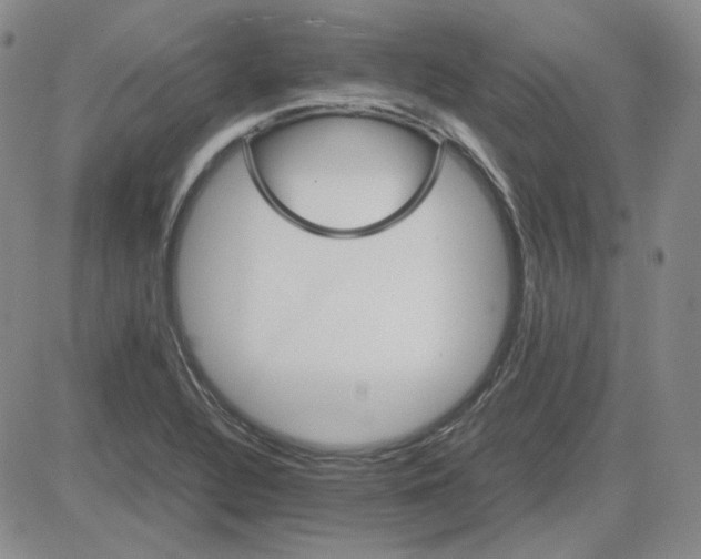 X0000083621320200702260943