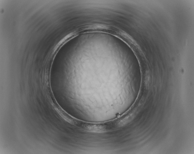 X0000083621321200702260943