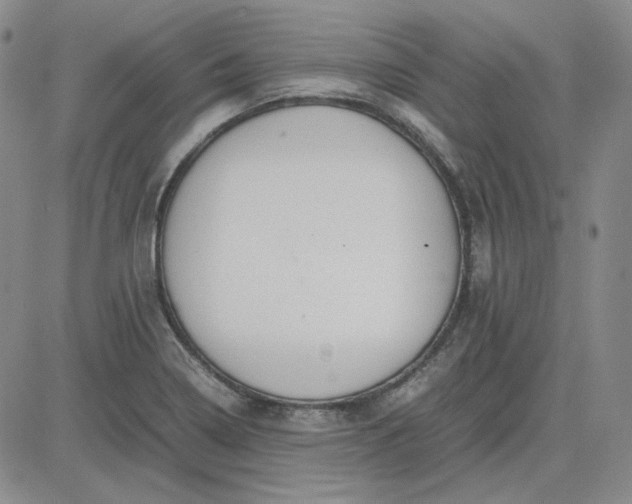 X0000083621322200702260943