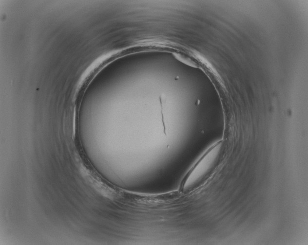 X0000083621323200702260943