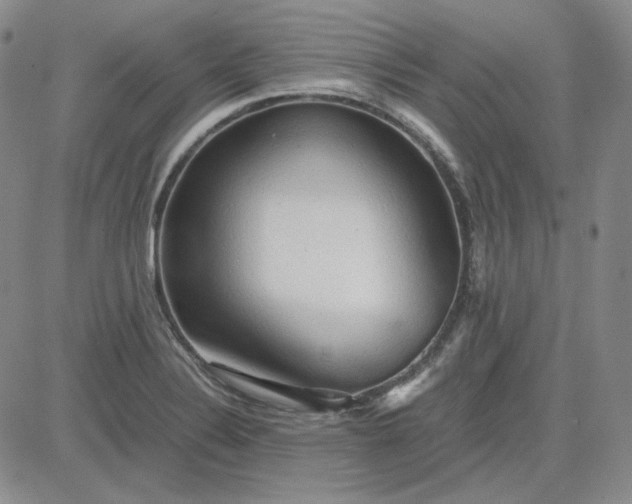 X0000083621324200702260943