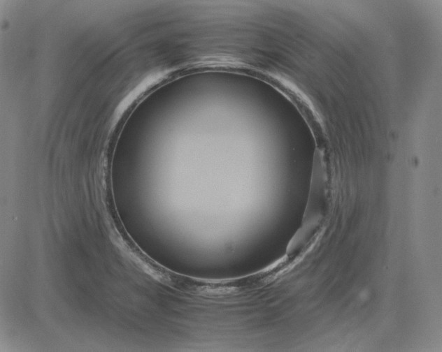 X0000083621325200702260943