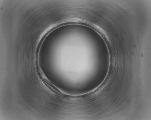 X0000083621326200702260943