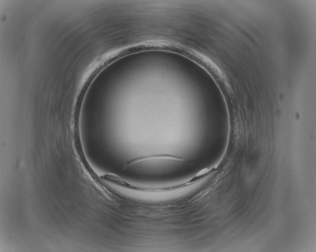 X0000083621327200702260943