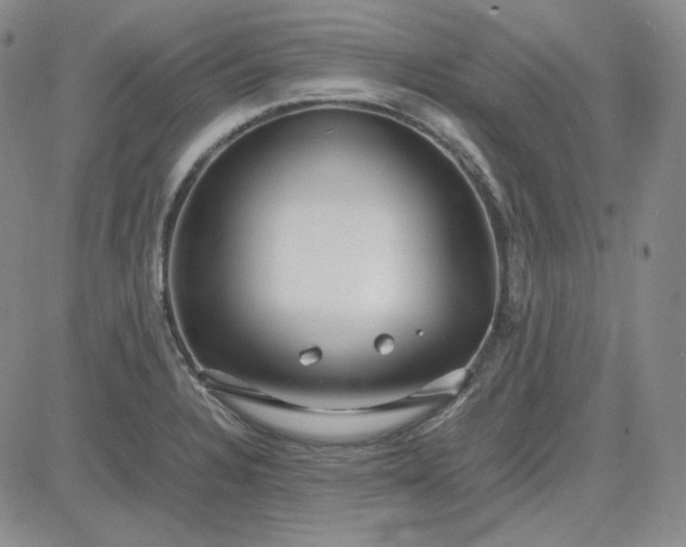 X0000083621328200702260943