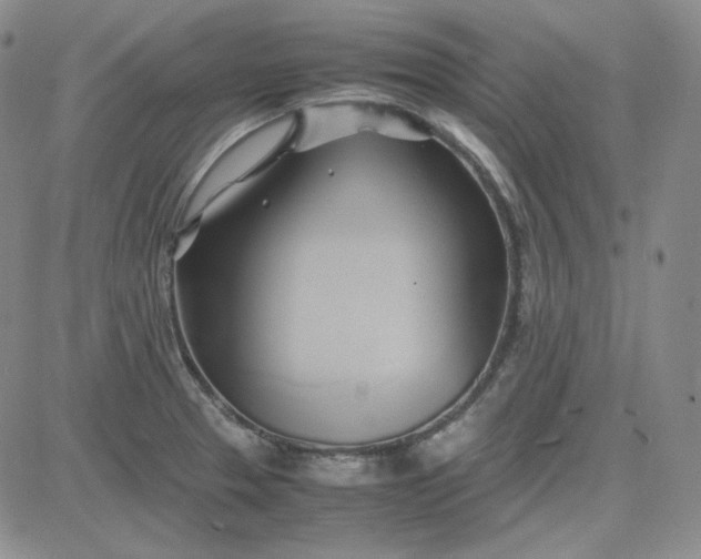 X0000083621329200702260943