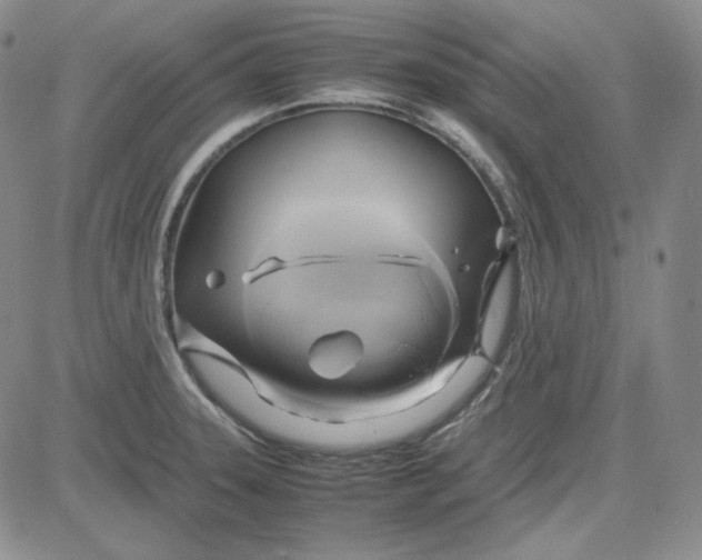 X0000083621331200702260943