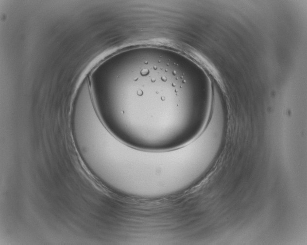 X0000083621332200702260943