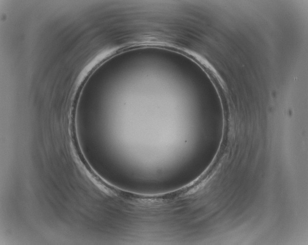 X0000083621333200702260943