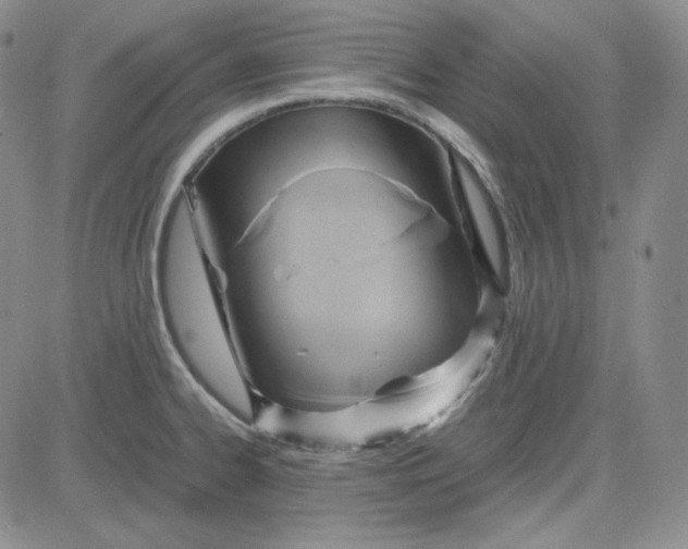 X0000083621334200702260943