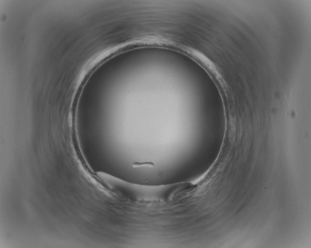 X0000083621335200702260943