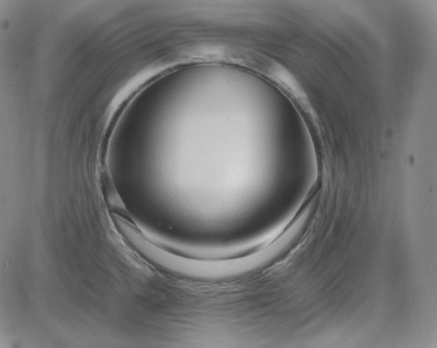 X0000083621336200702260944