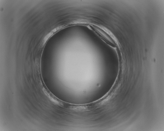 X0000083621337200702260944