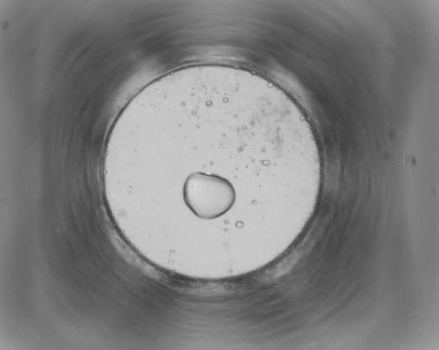 X0000083621338200702260944