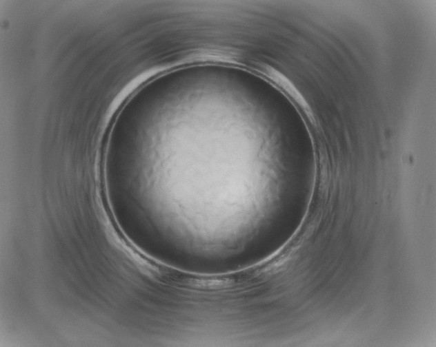 X0000083621339200702260944