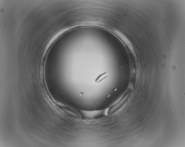 X0000083621340200702260944