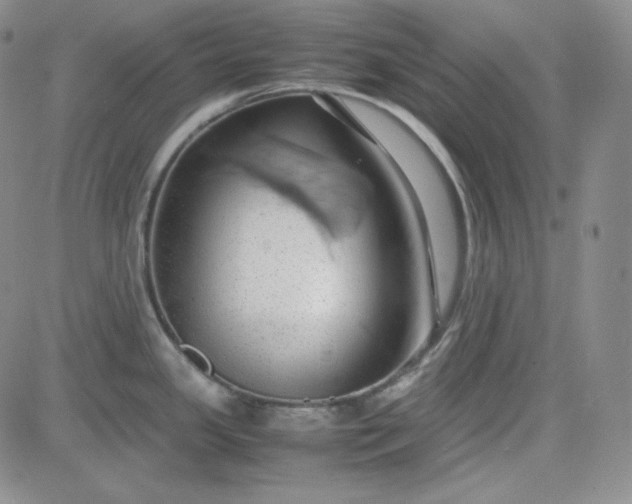 X0000083621341200702260944