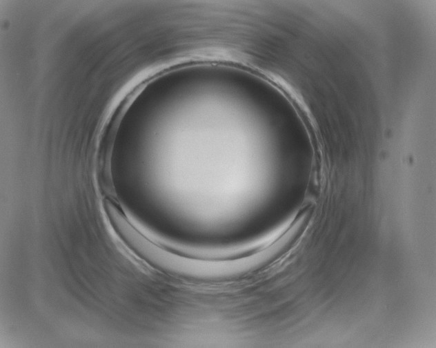 X0000083621342200702260944