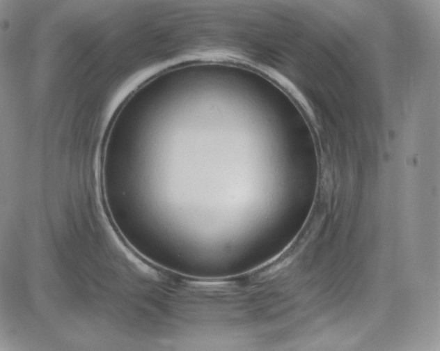 X0000083621343200702260944